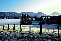 Tongue of Fog on Pasture